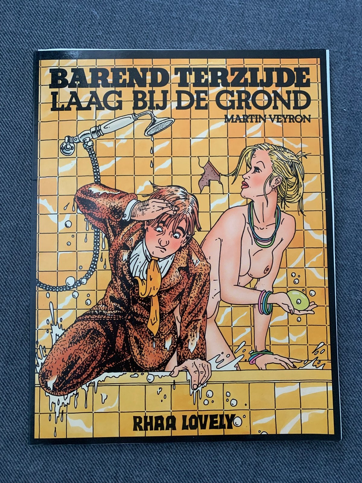 Barend Terzijde: Laag bij de grond - Martin Veyron, Eén stripboek, Ophalen of Verzenden, Gelezen