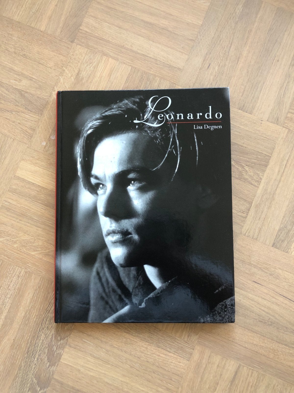 Leonardo DiCaprio Boek - Lisa Degnsen (Engels), Ophalen of Verzenden, Zo goed als nieuw, Lisa Degnsen, Film, Tv en Media