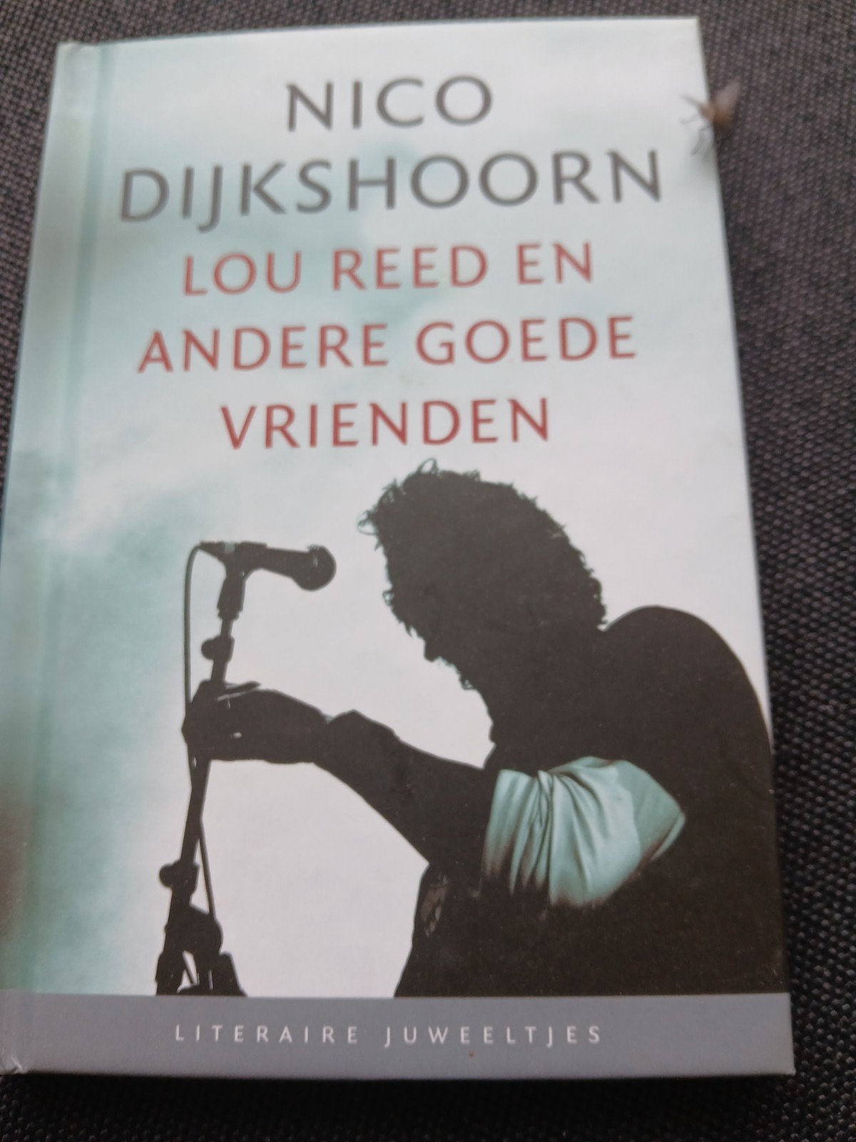 Nico Dijkshoorn - Lou Reed en andere goede vrienden, Ophalen of Verzenden, Zo goed als nieuw, Nico Dijkshoorn, Nederland