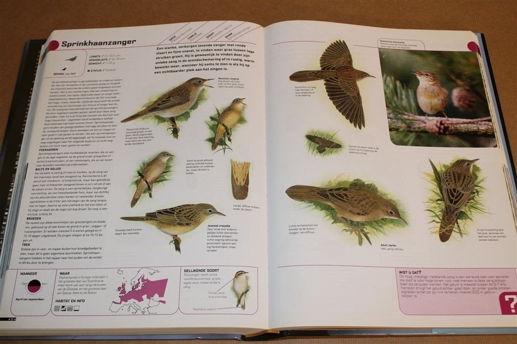 Alle Vogels van Europa — De Ultieme Gids voor Identificatie, Ophalen of Verzenden, Zo goed als nieuw, Vogels