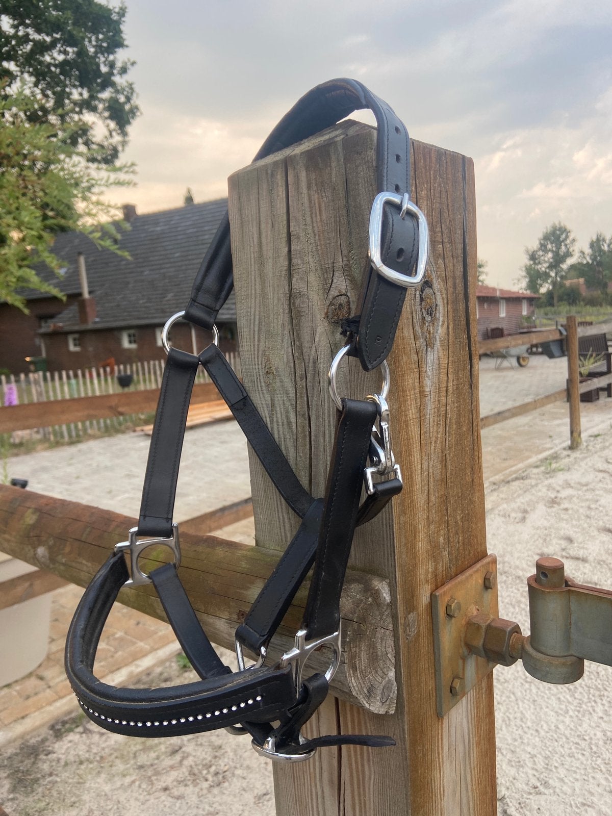 Te koop mooi ( bijna nieuw) leren halster maat pony, Halster, Verstelbaar, Ophalen of Verzenden, Pony
