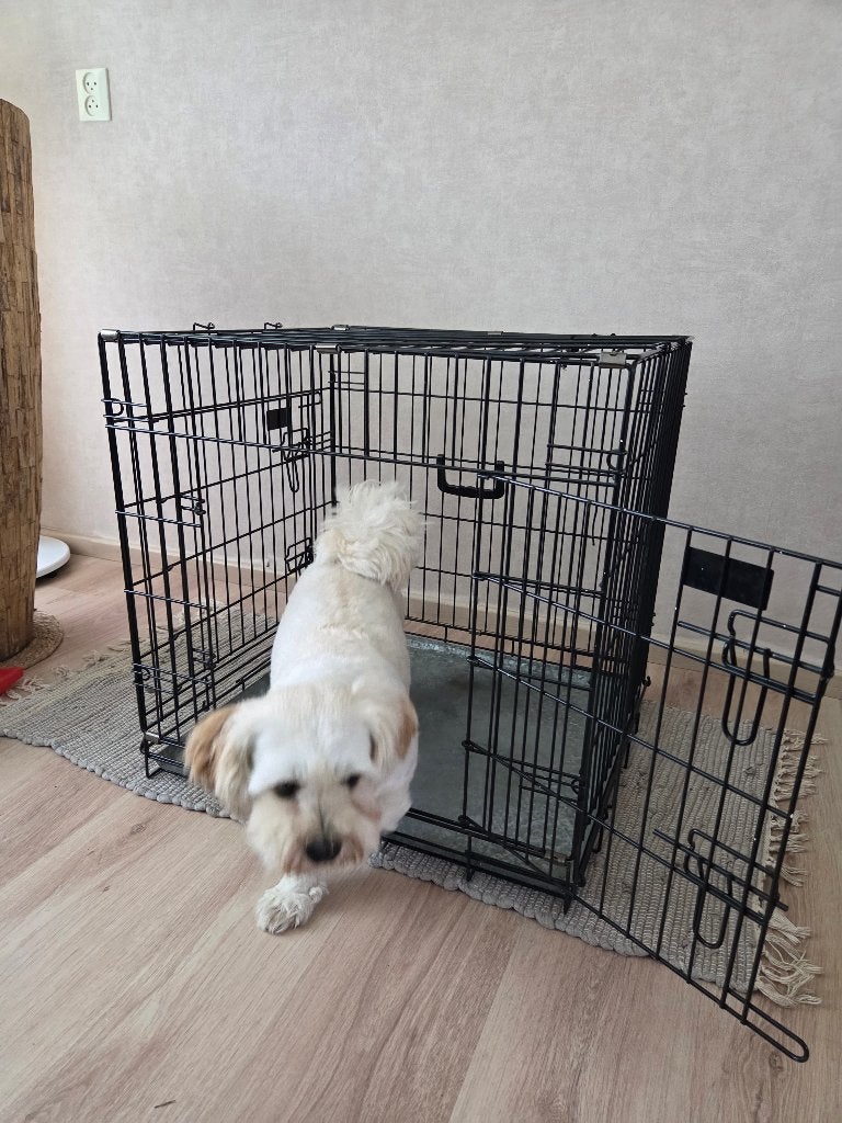 Honden bench, Dieren en Toebehoren, Ophalen, Gebruikt