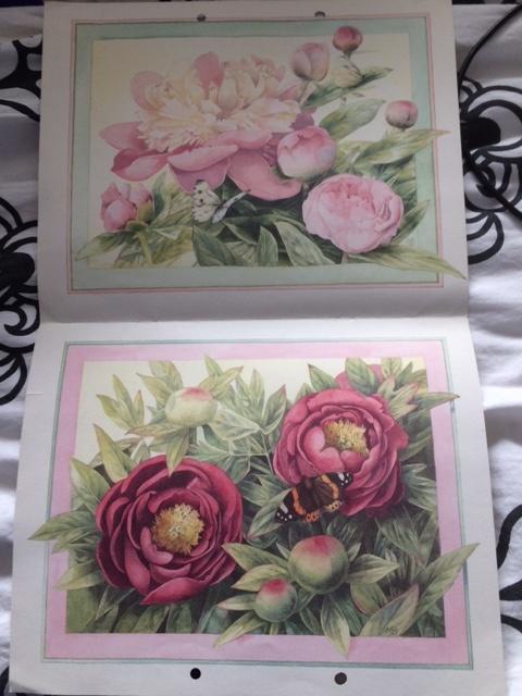 2 mooie platen van Marjolein Bastin, Verzamelen, Ophalen of Verzenden, 1980 tot heden, Gebruikt, Natuur