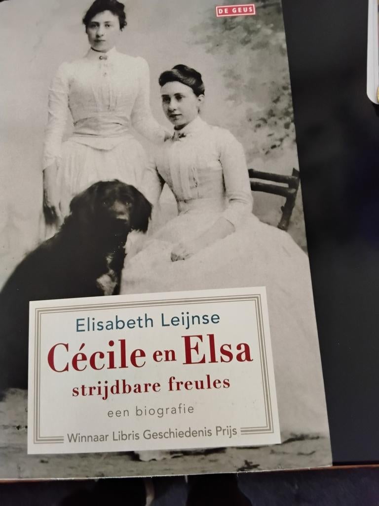 Elisabeth Leijnse - Cécile en Elsa, strijdbare freules, Gelezen, Elisabeth Leijnse, Kunst en Cultuur, Ophalen of Verzenden