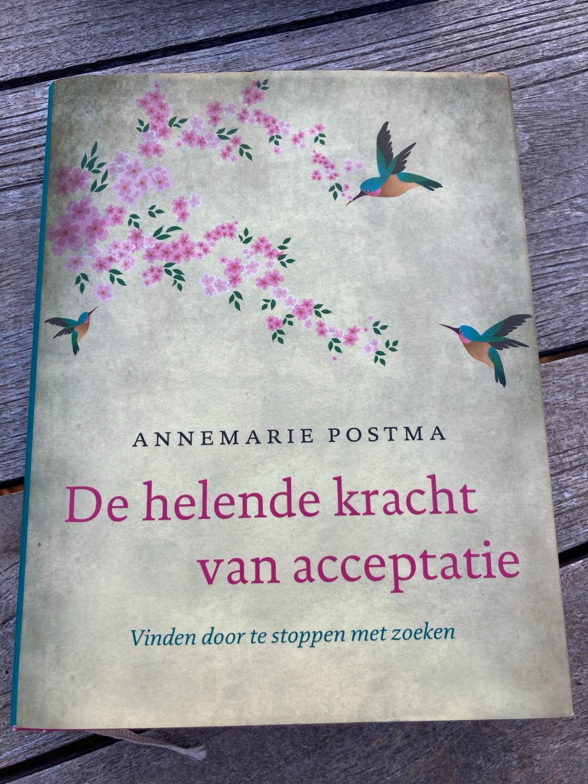 De helende kracht van acceptatie - Annemarie Postma, Boeken, Ophalen of Verzenden, Zo goed als nieuw, Spiritualiteit algemeen