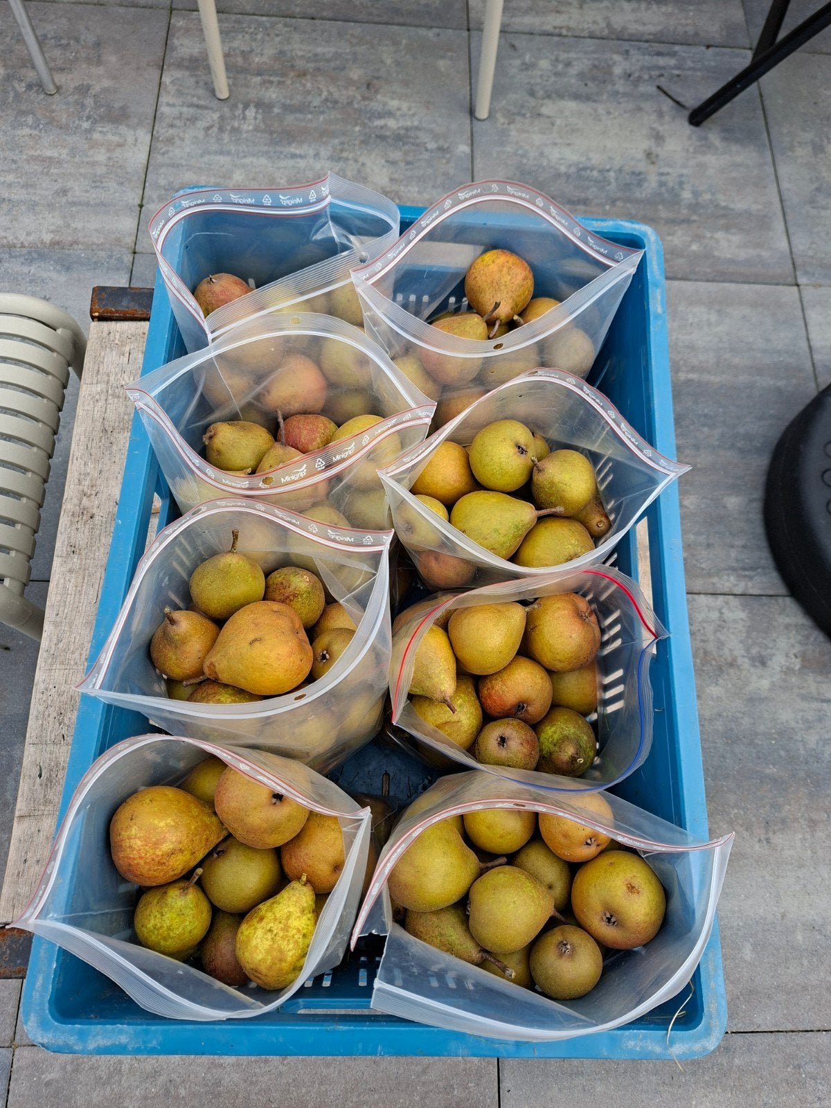 Gieser Wildeman stoofperen - 2 kilo, Ophalen
