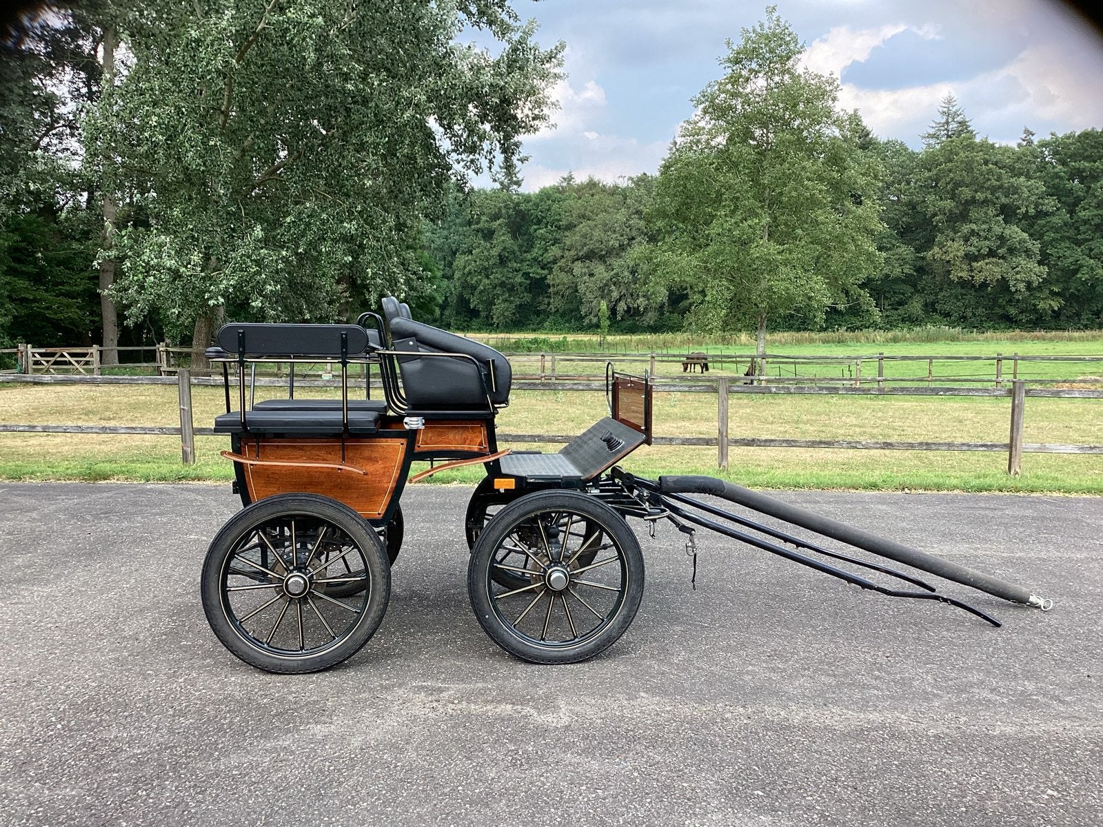EASY STEP Rijtuig, Paard