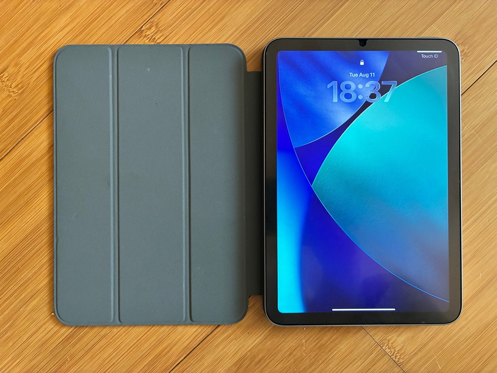 Apple iPad mini 6 (Space Gray) + Elago Magnetic Folio Case, Ophalen, 8 inch, Zo goed als nieuw, 64 GB