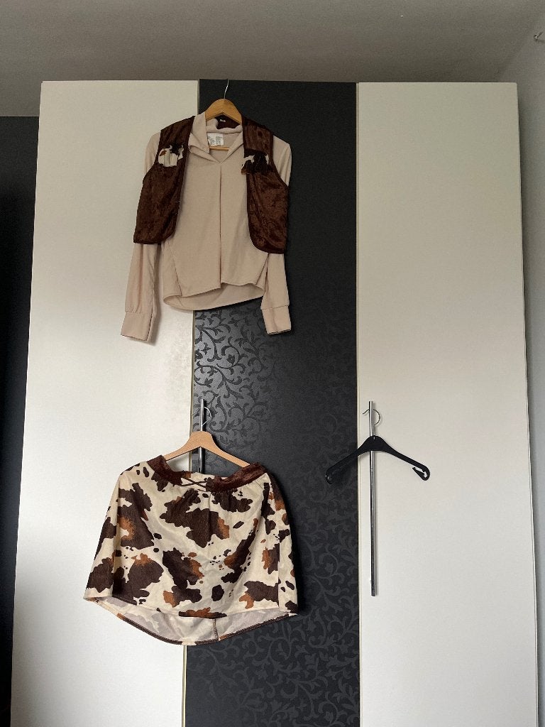 Cowgirlset carnaval, Kleding | Dames, Ophalen of Verzenden, Zo goed als nieuw
