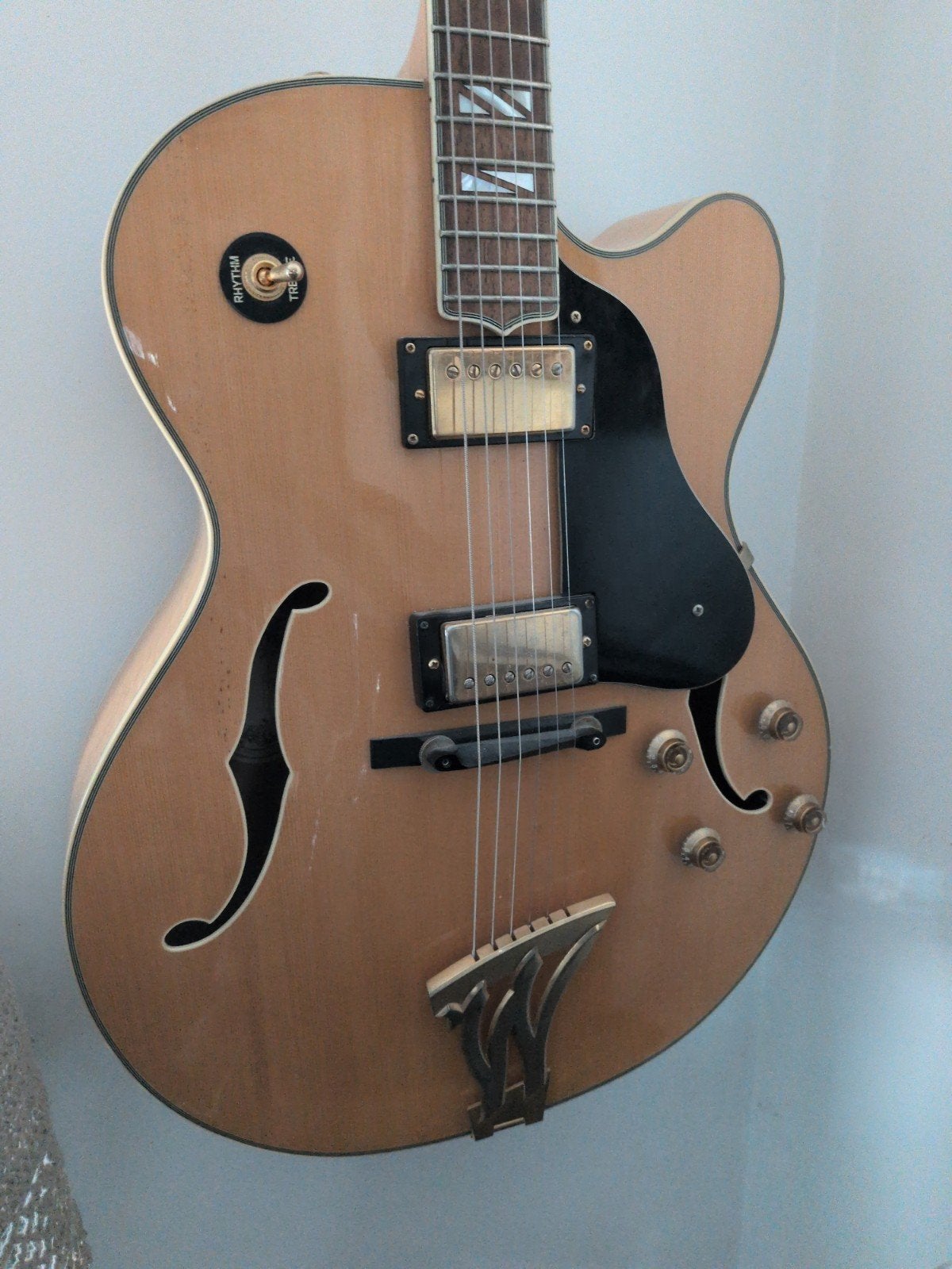 Washburn Montgomery, Ophalen of Verzenden, Hollow body, Overige merken