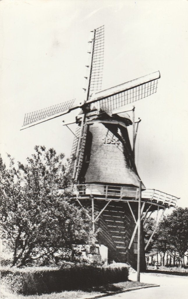 Havelte    Molen, Verzamelen, Ansichtkaarten | Nederland, Ophalen of Verzenden, 1940 tot 1960, Gelopen, Drenthe