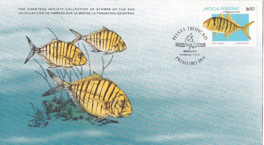 Cousteau - Moçambique - Caranx speciosus - La belle carangue, Verzenden, Overige typen