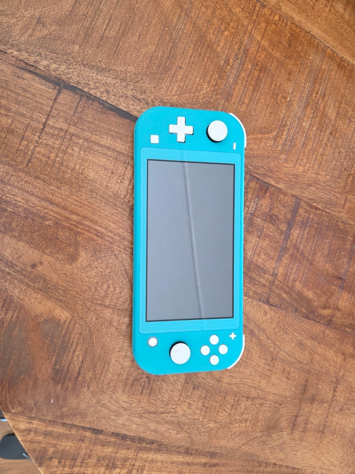 Nintendo Switch Lite Turquoise + Oplader, Spelcomputers en Games, Spelcomputers | Nintendo Switch Lite, Ophalen of Verzenden, Turquoise