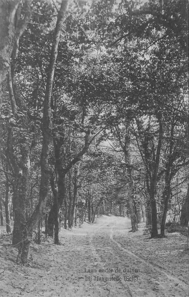 379-195-019 Haamstede, Verzenden, Voor 1920, Zeeland