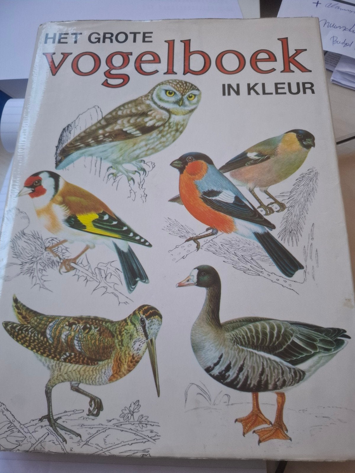 Het Grote Vogelboek in Kleur - Prachtige Vogelgids, Boeken, Ophalen of Verzenden, Zo goed als nieuw, Vogels, Onbekend