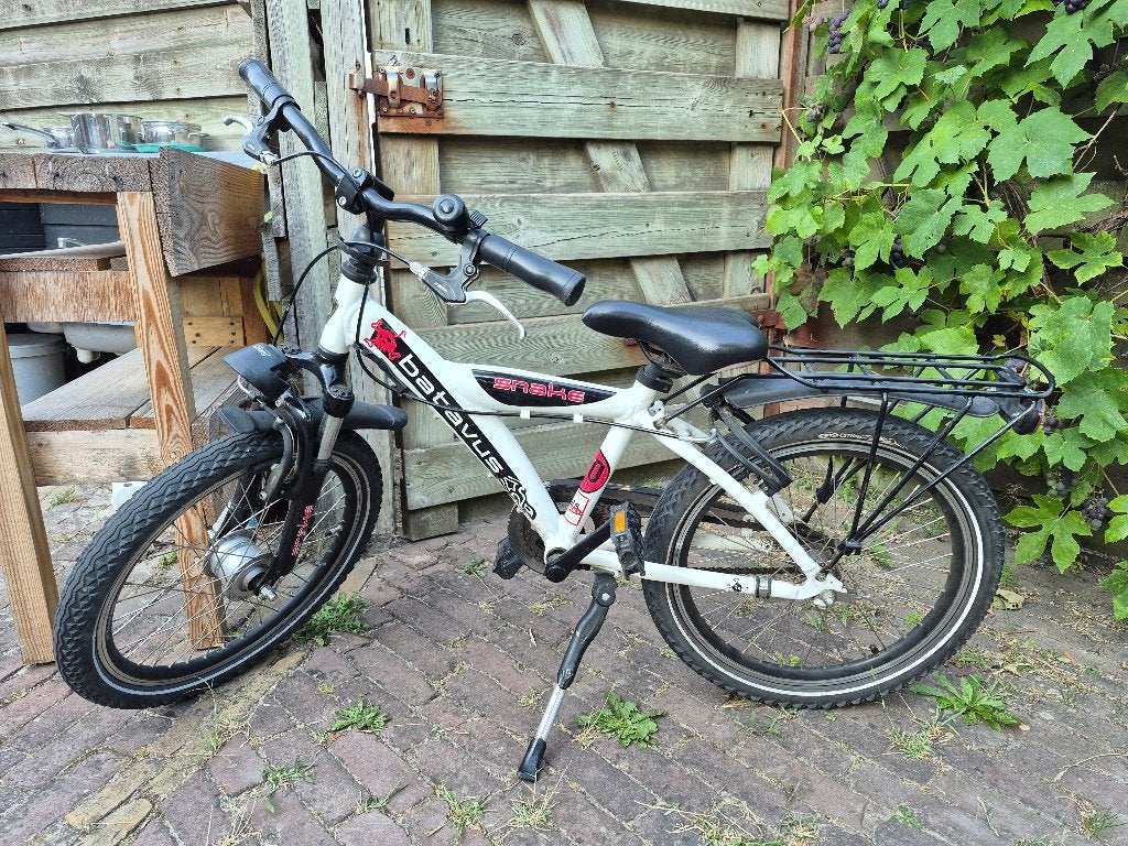 Kinderfiets 20 inch batavus snake, Ophalen, Terugtraprem, Batavus, 16 tot 20 inch