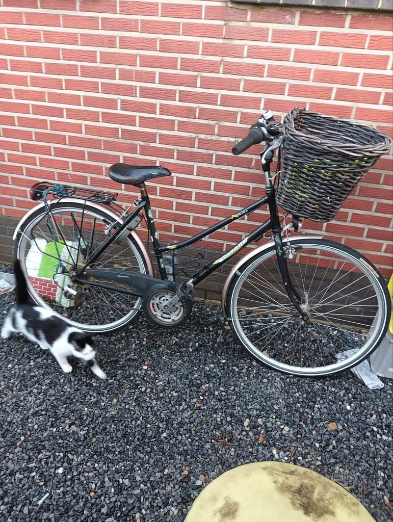 Gazelle kleine maat 50, Fietsen en Brommers, Fietsen | Dames | Damesfietsen, 50 tot 53 cm, Ophalen of Verzenden, Gebruikt, Gazelle