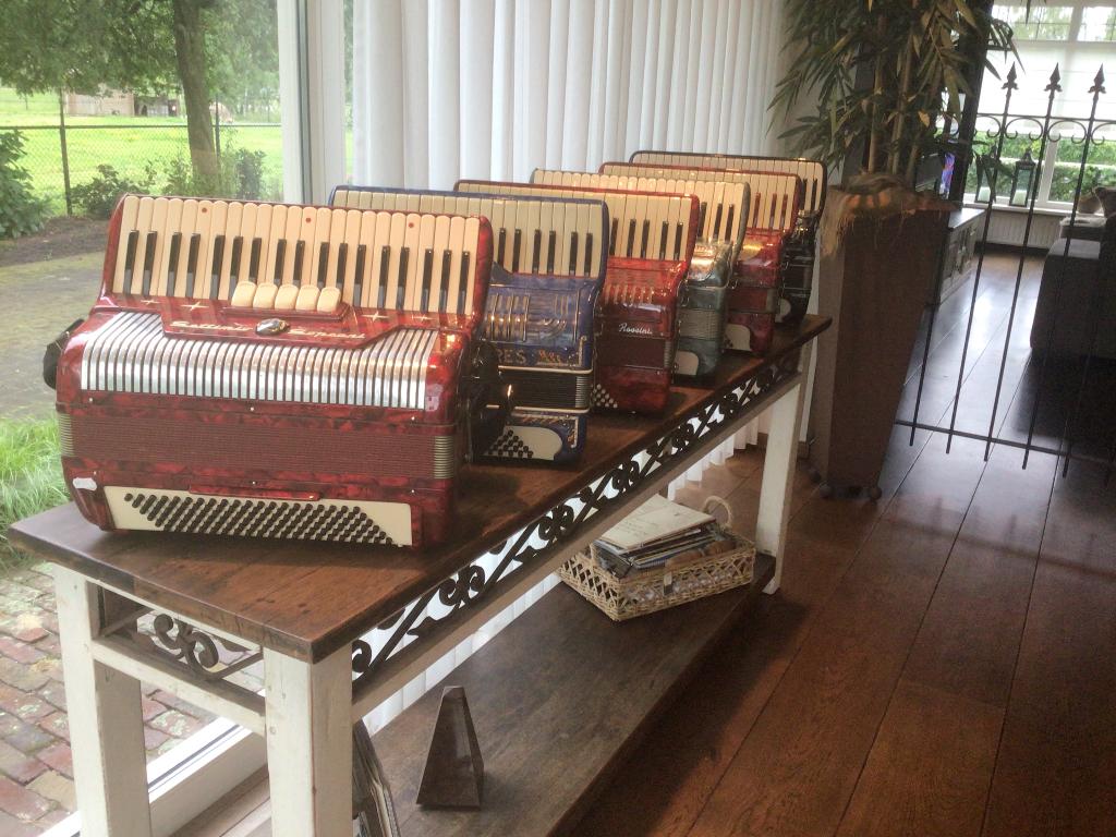 Accordeon Playback Bluetooth Usb-Stick, Muziek en Instrumenten, Accordeons, Overige merken, Met riemen, Overige formaten, Zo goed als nieuw