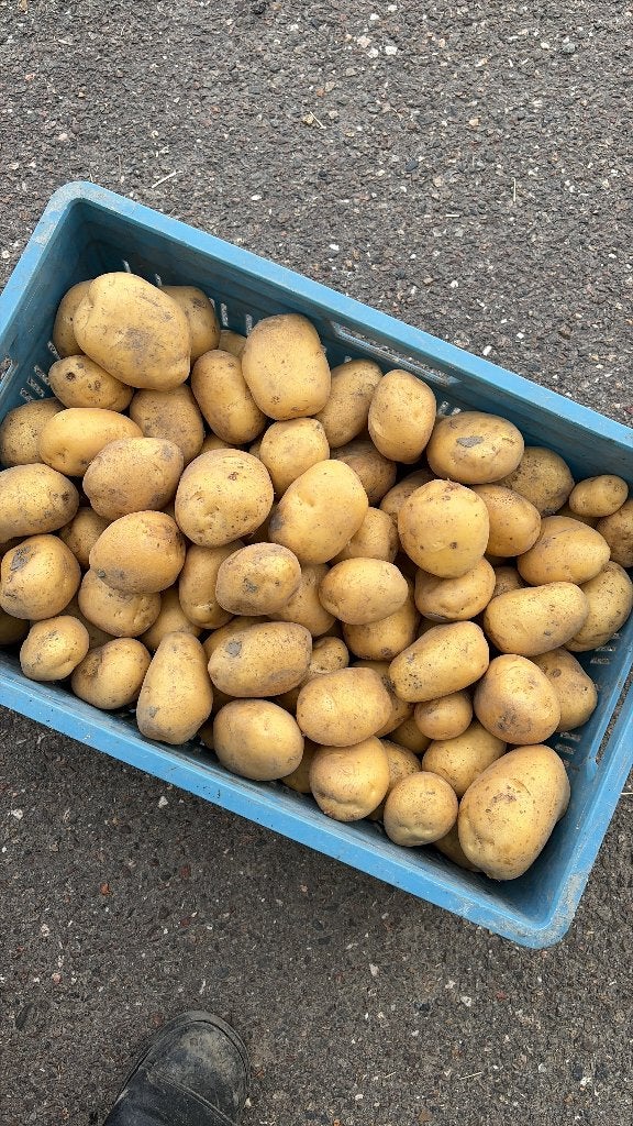 Frieslander Aardappels, Ophalen of Verzenden