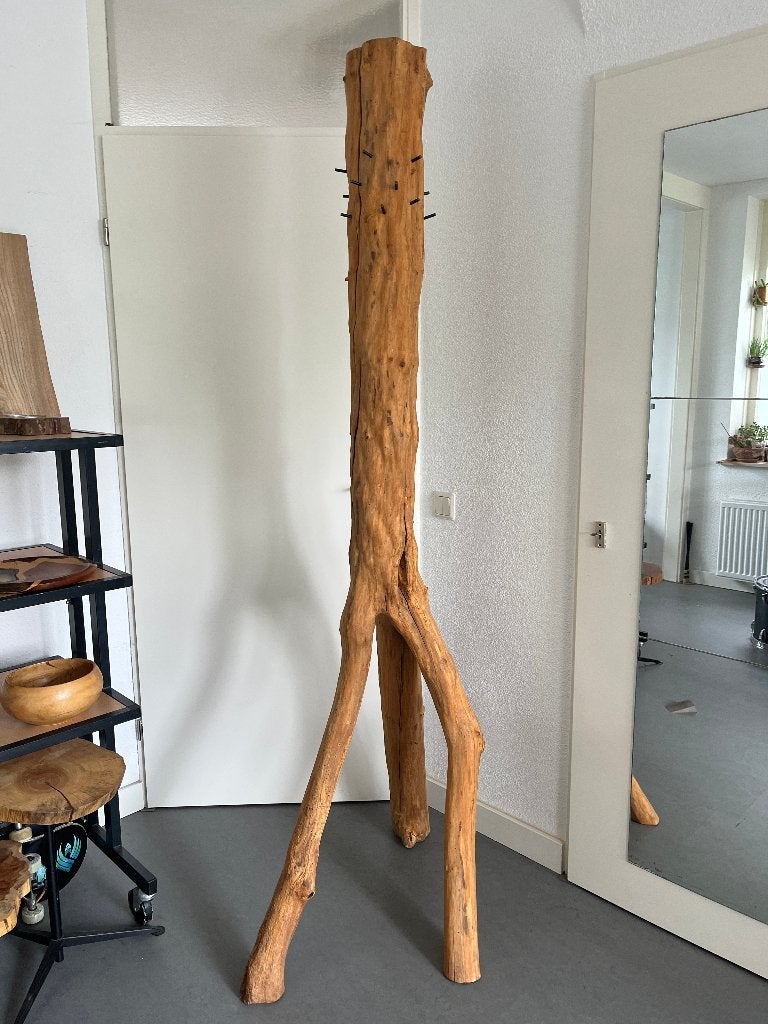 Boom Kapstok Natuurlijke Vorm Rustiek, Ophalen, 200 cm of meer, Nieuw, Staande kapstok