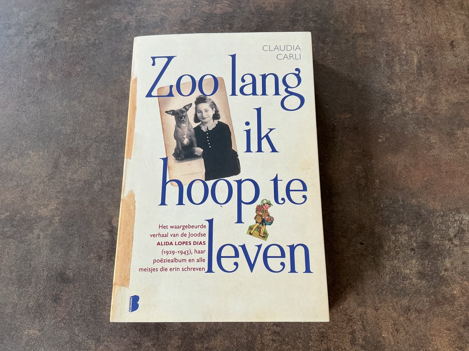 Ontroerend verhaal met poëzie album versjes in de oorlog., Ophalen of Verzenden, Tweede Wereldoorlog, Gelezen, Algemeen