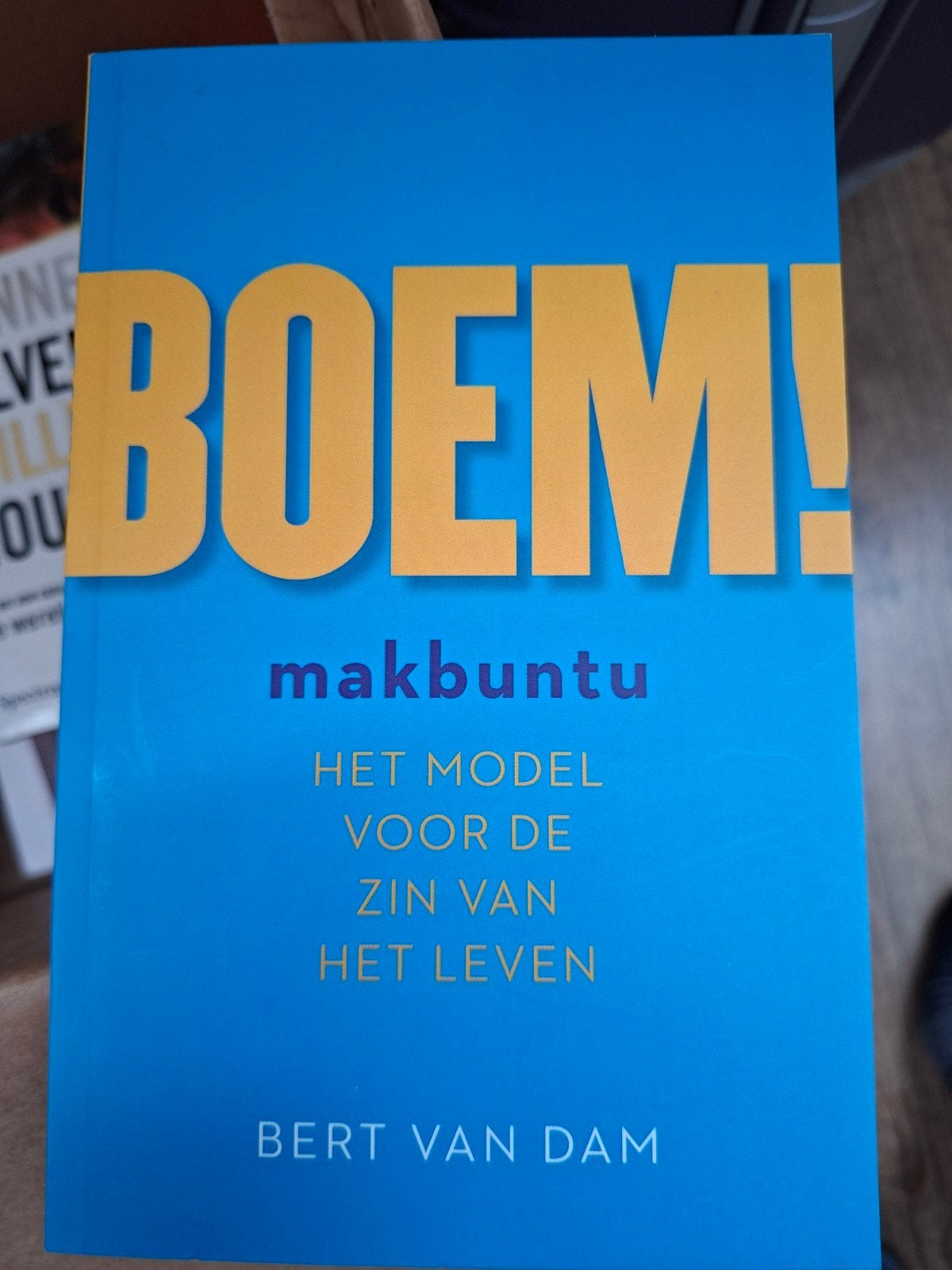 Bert van Dam - BOEM!, Boeken, Ophalen of Verzenden, Zo goed als nieuw, Bert van Dam