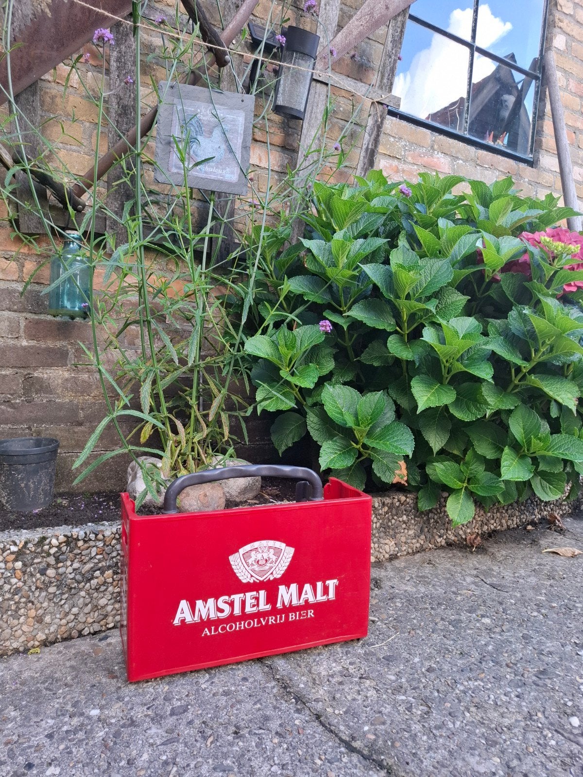 Half kratje Amsel, Ophalen, Amstel