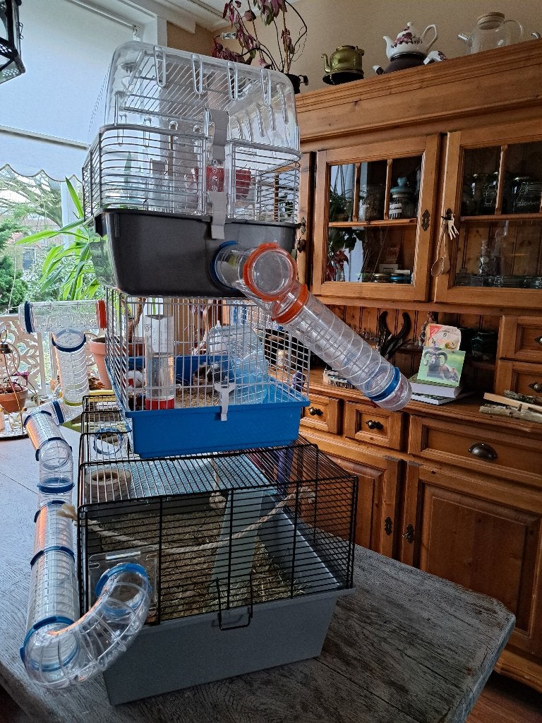 3 Gave hamster/muizenkooien met veel extra's!, Dieren en Toebehoren, Kooi, Minder dan 75 cm, Zo goed als nieuw, Hamster
