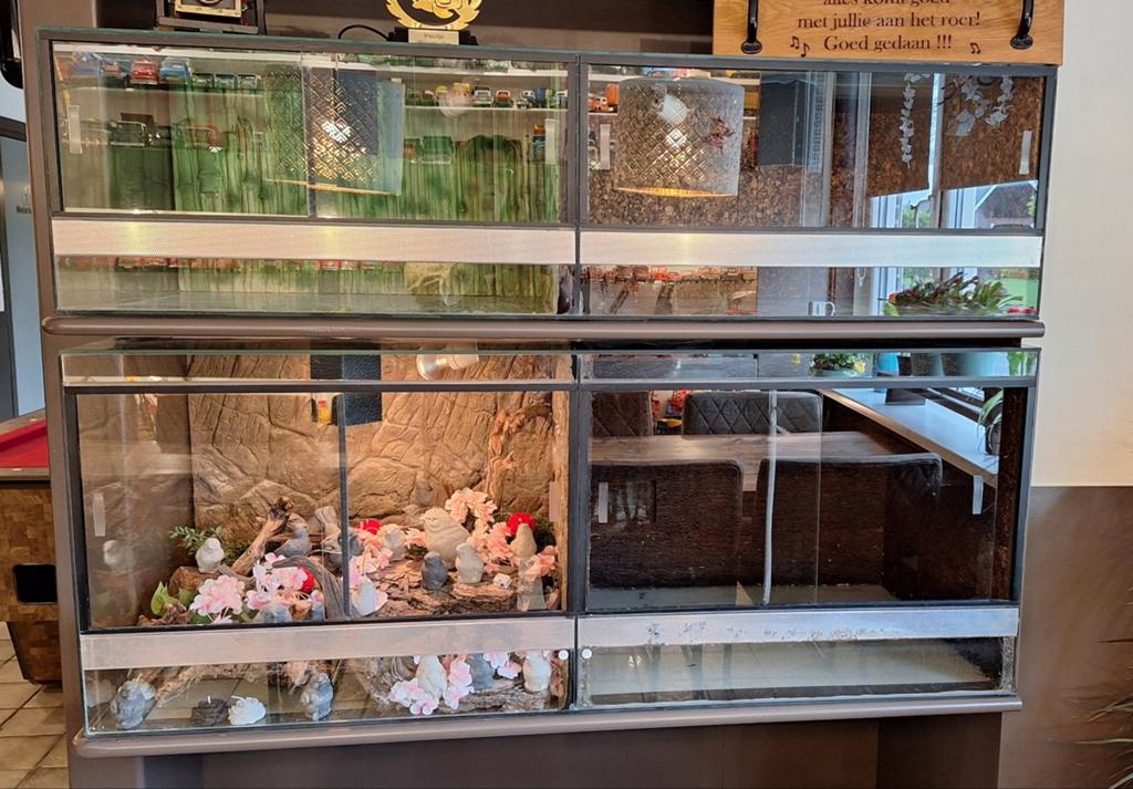volglas terrarium 145x40x60, Dieren en Toebehoren, Reptielen en Amfibieën | Toebehoren, Ophalen, Gebruikt, Terrarium of Paludarium