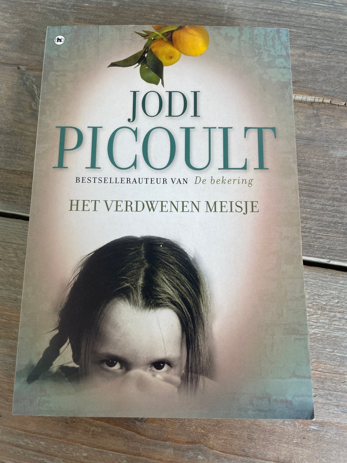 Jodi Picoult - Het Verdwenen Meisje, Boeken, Ophalen of Verzenden, Zo goed als nieuw, Nederland