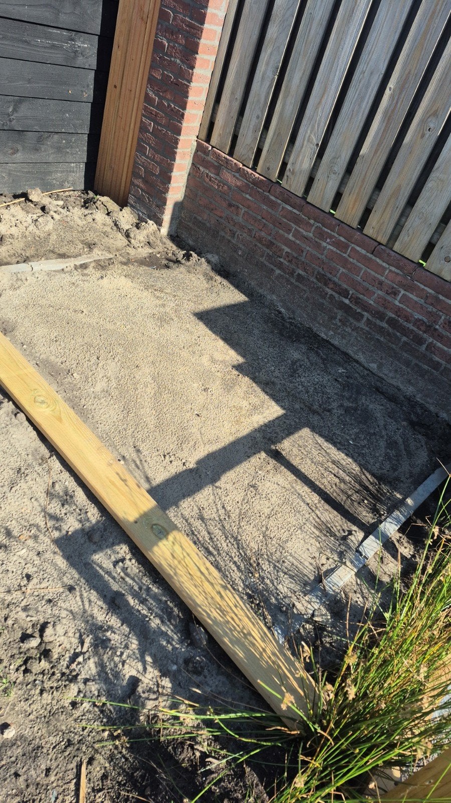 Gratis vaste tuinplanten gezocht (omgeving Waalwijk), Ophalen of Verzenden, Vaste plant, Overige soorten, Halfschaduw