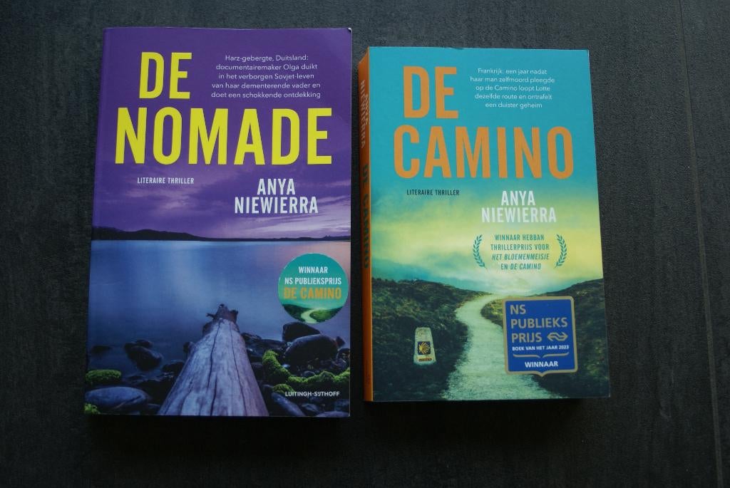 DE NOMADE    2024   Anya Niewierra, Boeken, Thrillers, Zo goed als nieuw, Ophalen of Verzenden