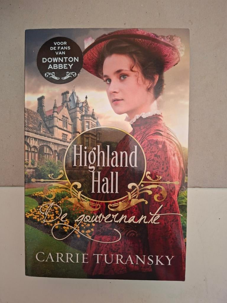 Carrie Turansky - De gouvernante, Boeken, Verzenden, Zo goed als nieuw, Carrie Turansky