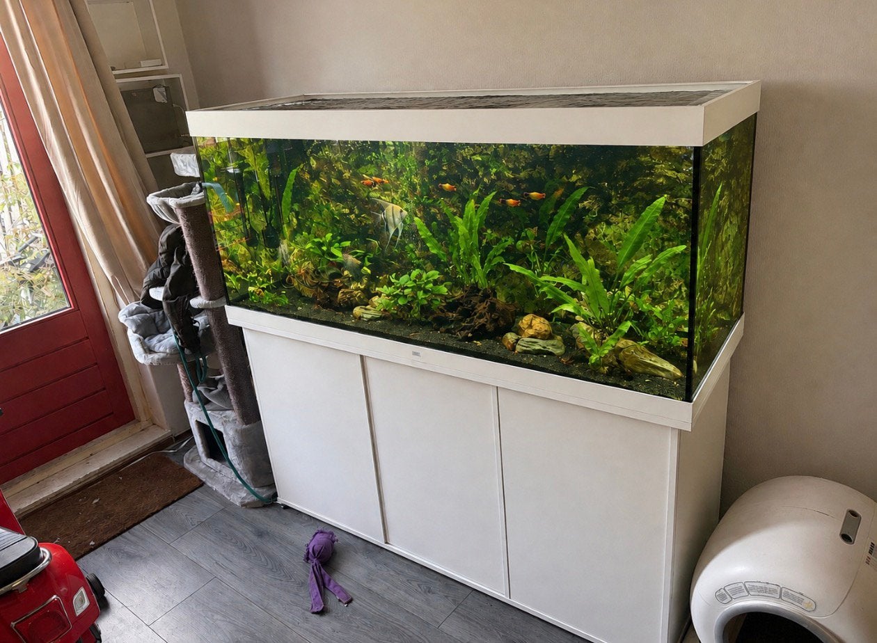 🐠 Juwel 450 liter aquarium  – zeer nette staat, Ophalen, Zo goed als nieuw, Leeg aquarium
