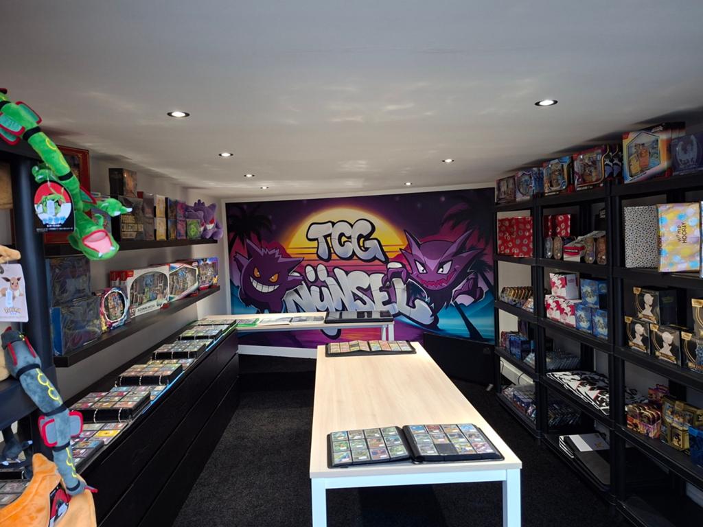 Pokemon winkel in Brabant, Ophalen, Nieuw, Overige typen