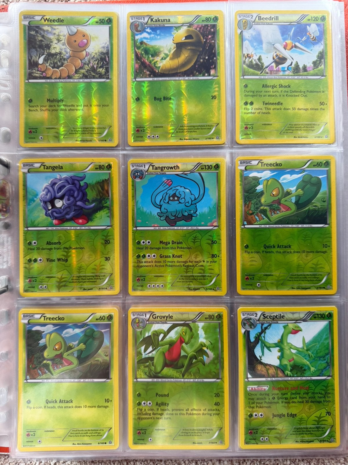 Pokemon tcg - Primal clash - reverse & holo set - collectie, Ophalen of Verzenden, Meerdere kaarten, Foil
