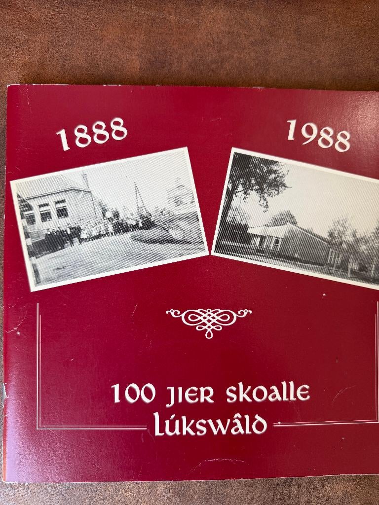 100 Jier Skoalle Lukswald - Luxwoude = bij Heerenveen Tijnje, Ophalen of Verzenden, 20e eeuw of later, Gelezen