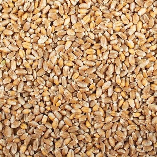 Tarwe heel vleeskip, Dieren en Toebehoren, Dierenvoeding, Ophalen, Vee