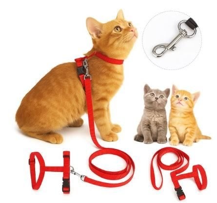 Nylon kattentuigje met riem voor kitten of kleine kat., Ophalen of Verzenden, Zo goed als nieuw