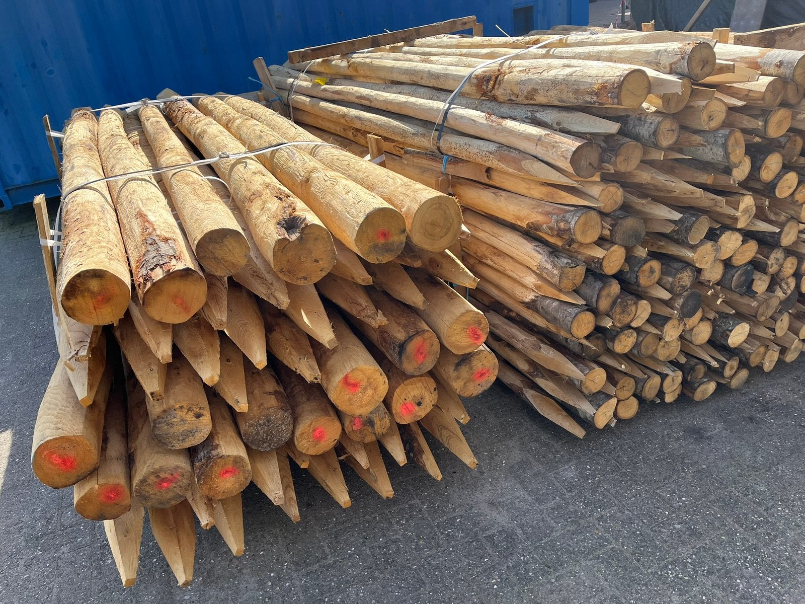 Kastanje paal 200/10-12 cm voor wolvenraster, Ophalen of Verzenden, Nieuw, 250 cm of meer, Palen