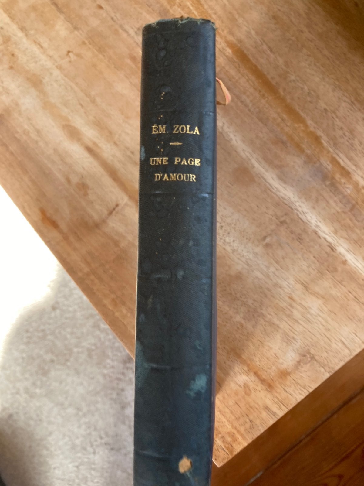 Une Page D’ Amour van Emile Zola, Ophalen of Verzenden, Gelezen