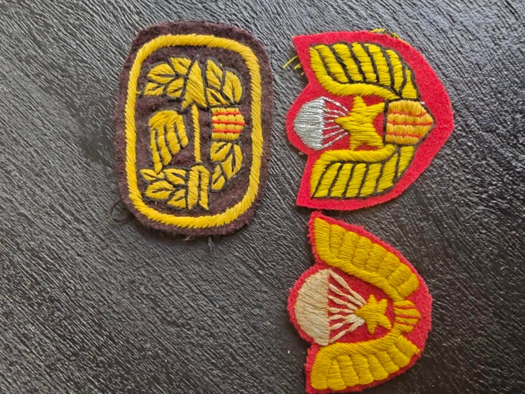 Vietnam War Beret Patch ARVN NHAY DU Airborne Parachute Flas, Ophalen of Verzenden, Landmacht, Amerika, Embleem of Badge