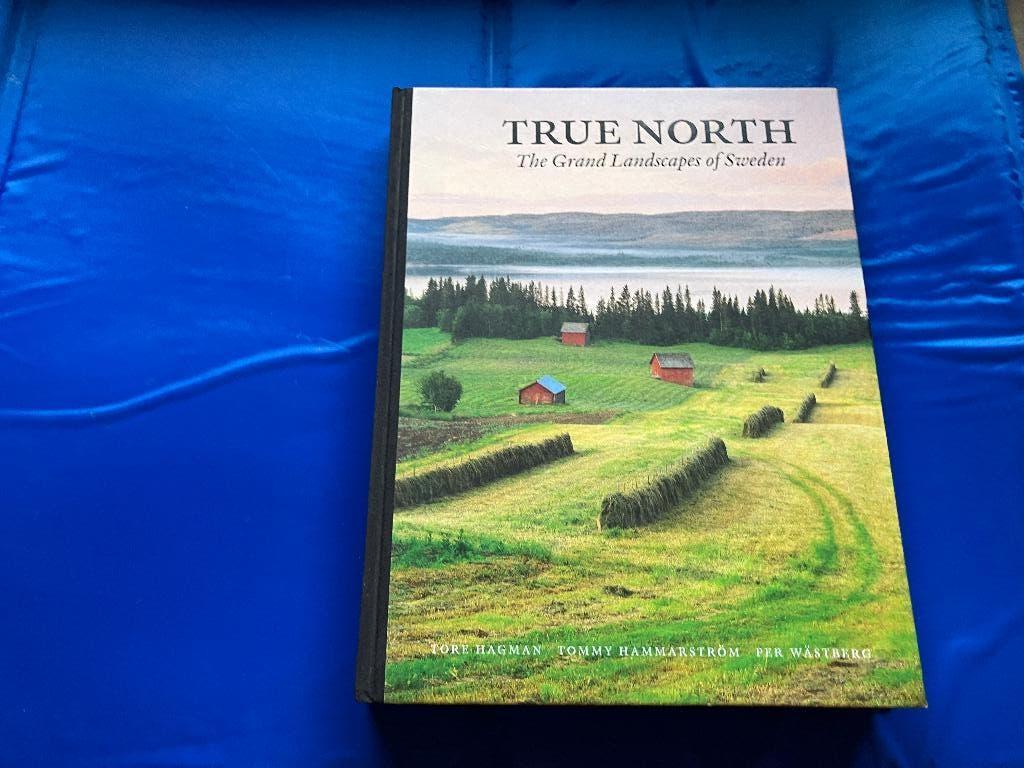 Zweden landschap natuur magisch Lapland Scandinavië, Ophalen of Verzenden, Zo goed als nieuw, Europa