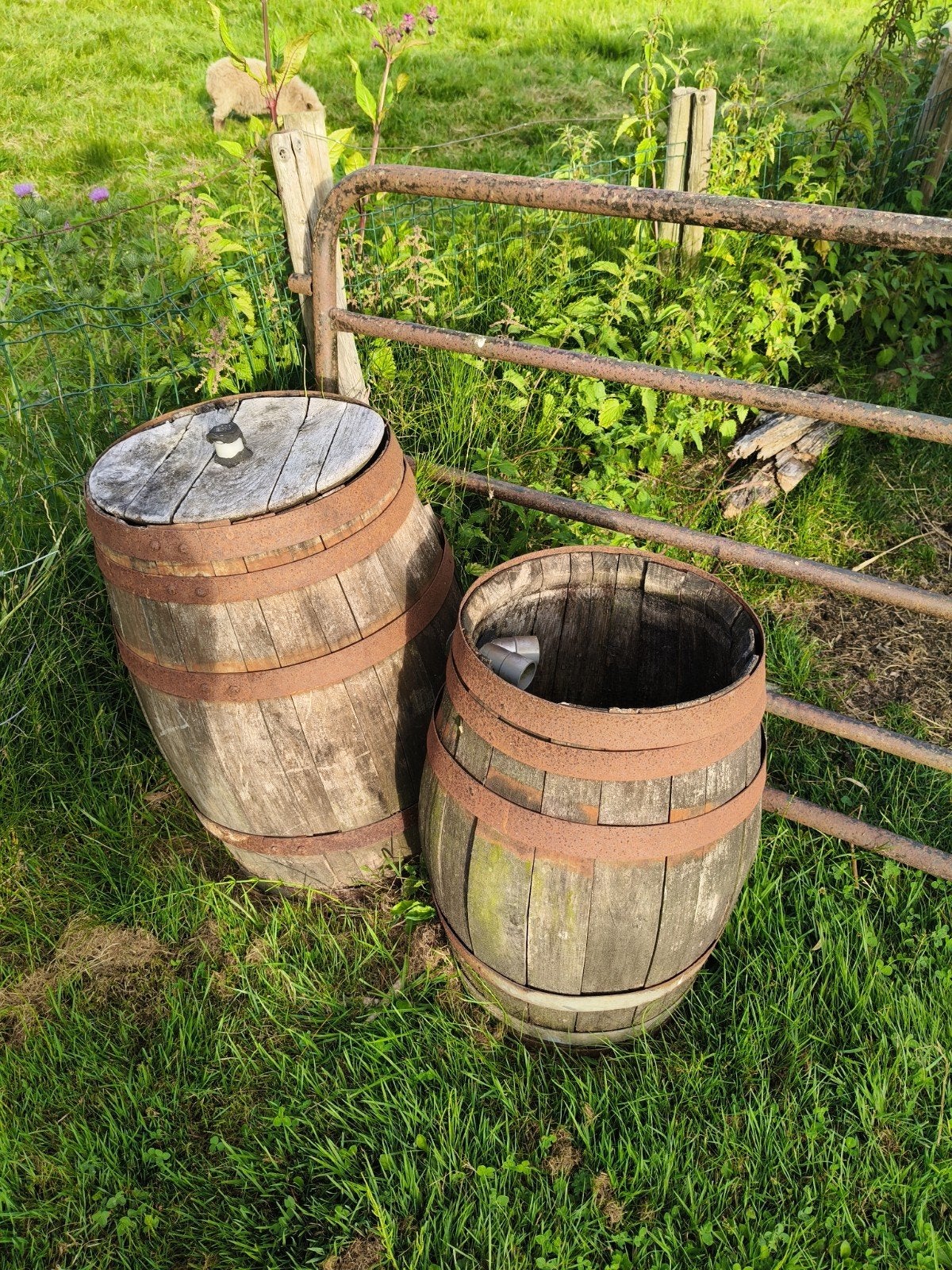 Grote houten tonnen, ideaal voor decoratie of planten, Ophalen, Gebruikt