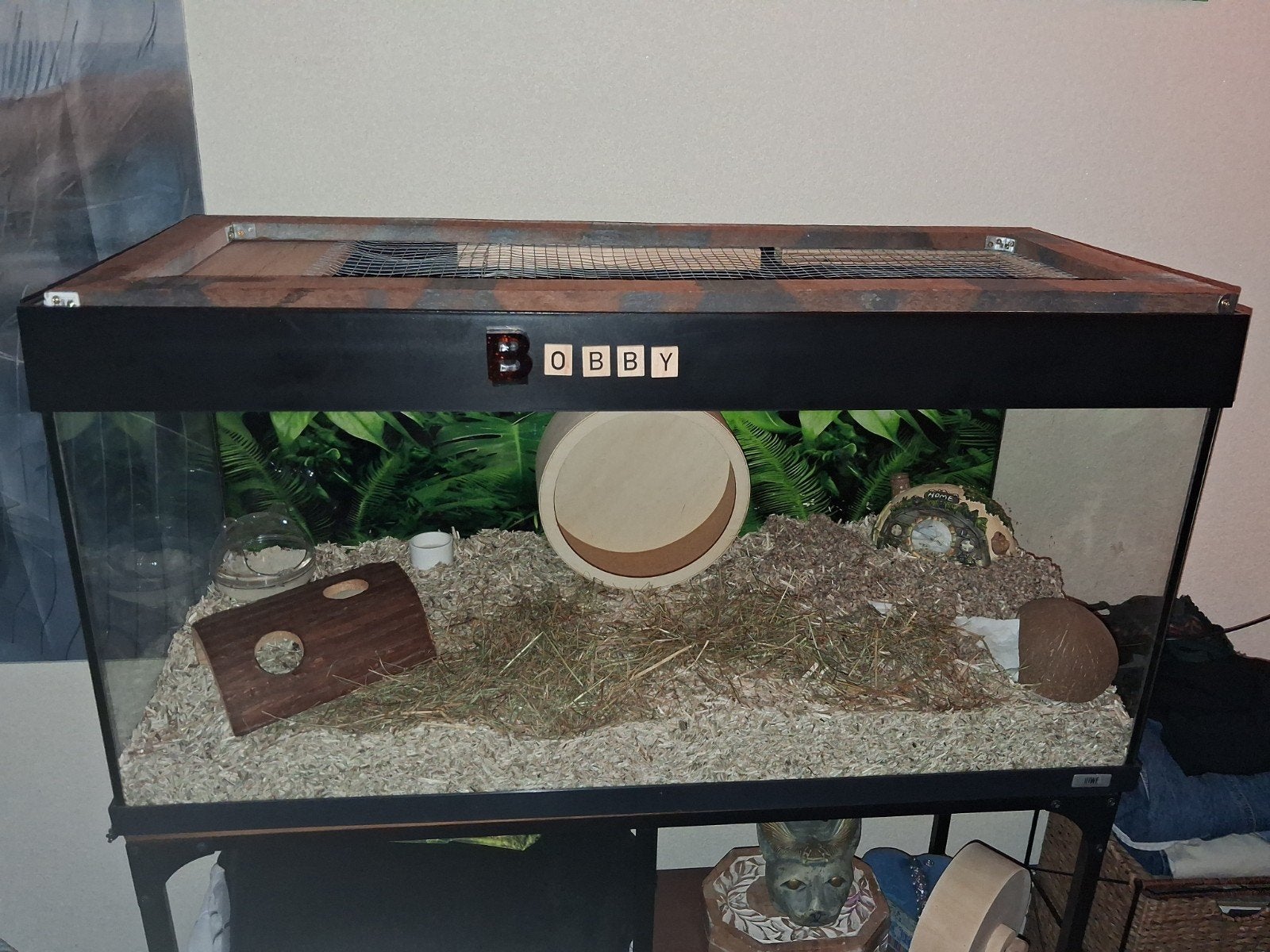 Mooi hamsterhok, Ophalen, Hok, Minder dan 60 cm