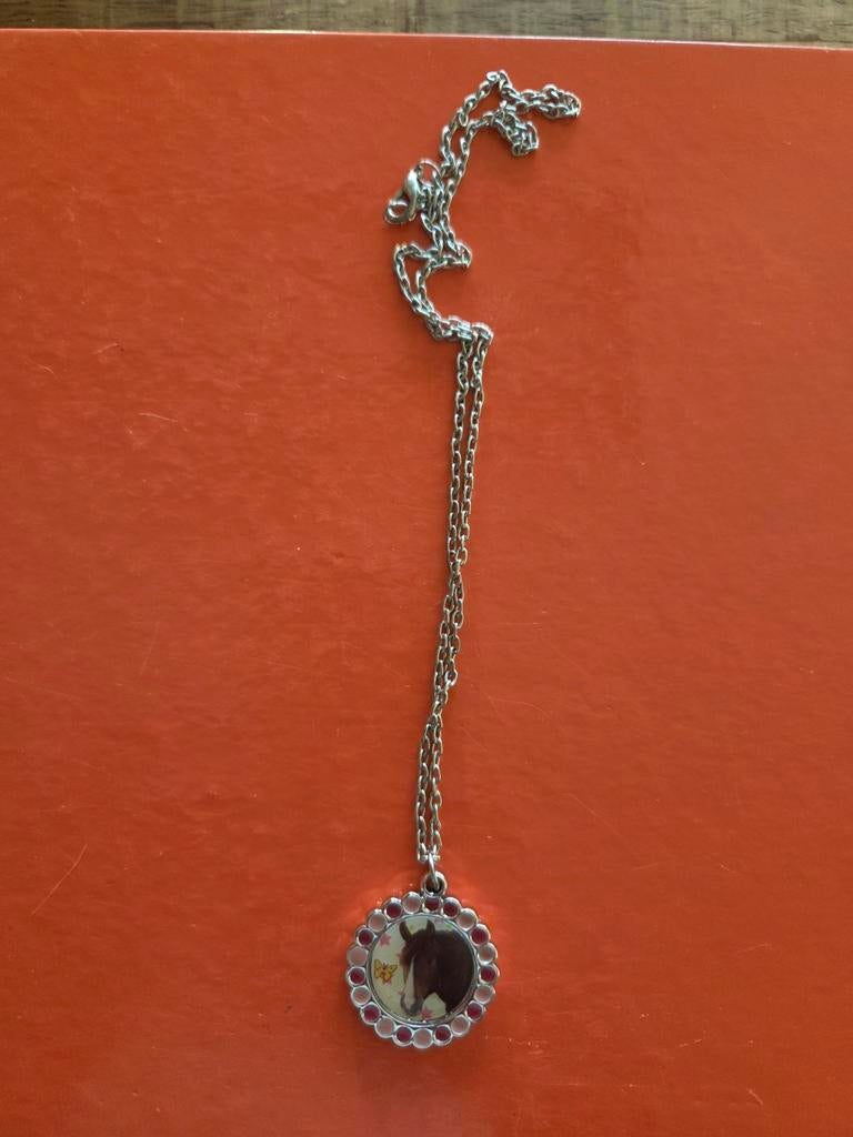 Ketting met paarden hanger, Sieraden, Tassen en Uiterlijk, Kettingen, Ophalen of Verzenden