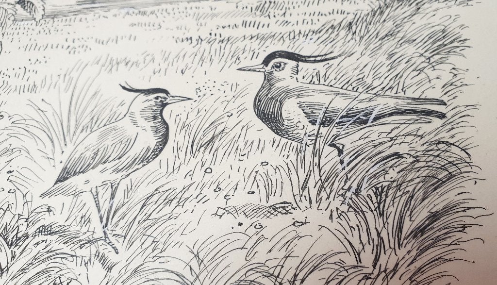 Voorjaarsklanken - H.H. Prahl - pentekening, Antiek en Kunst, Ophalen of Verzenden, Tekening, Pentekening, Achter glas