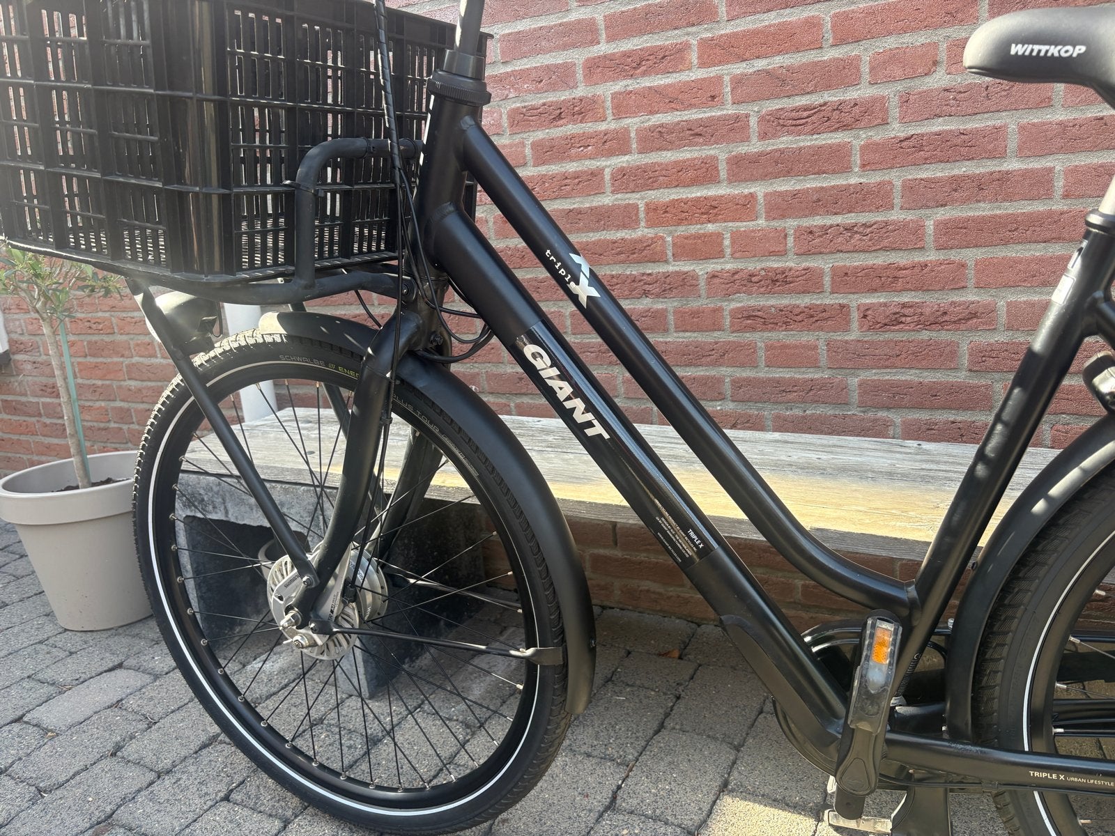 Giant e-bike zo goed als nieuw, 400W motor, 55km actieradius, Fietsen en Brommers, Ophalen, Giant, Zo goed als nieuw, 50 km per accu of meer