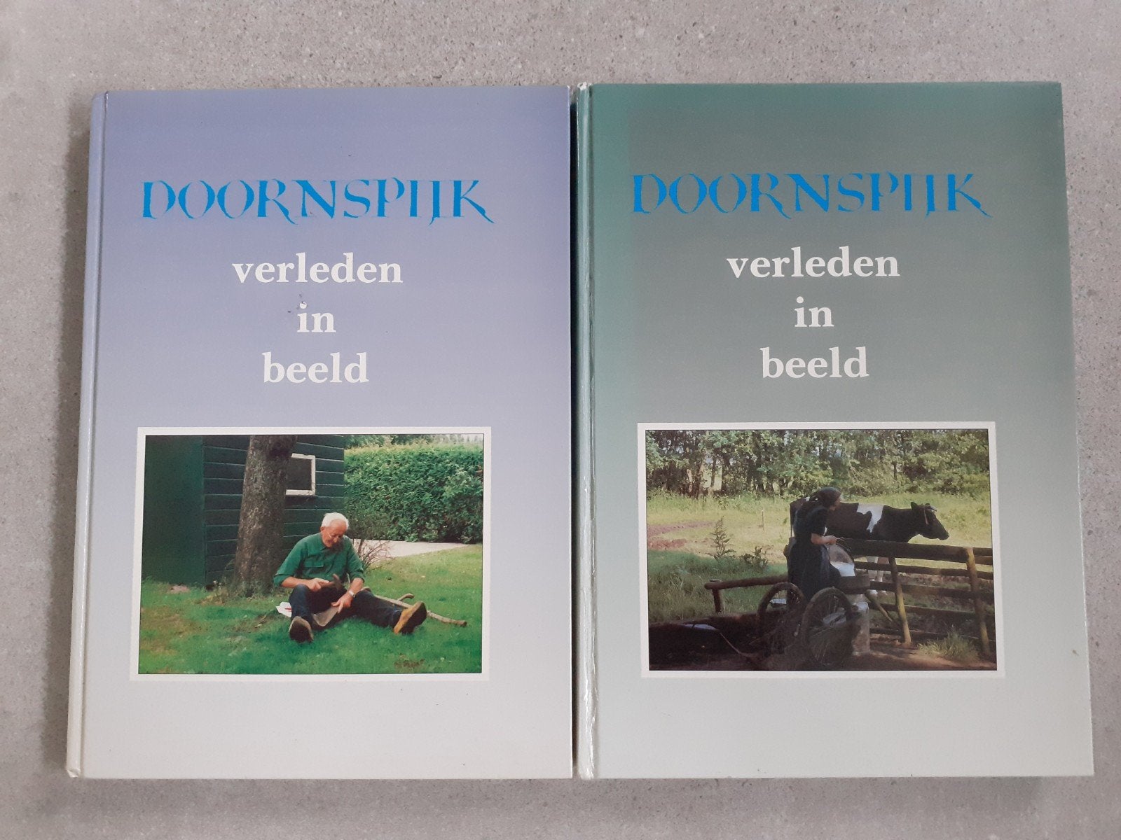doornspijk met oude foto's en ansichten, Ophalen of Verzenden, Gelezen