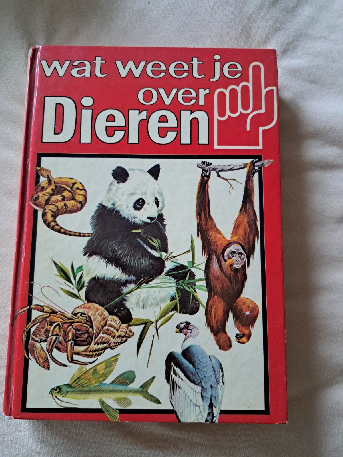 Partij kinderboeken zgan, Ophalen, Zo goed als nieuw